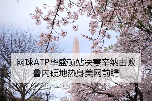 网球ATP华盛顿站决赛辛纳击败鲁内硬地热身美网前瞻